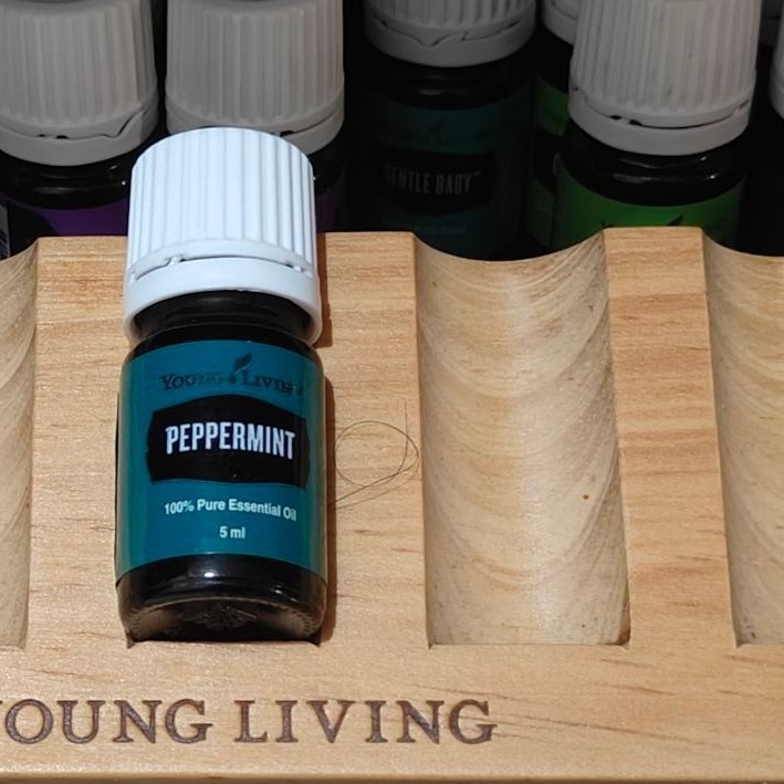 peppermint essential oil young living 5 ml