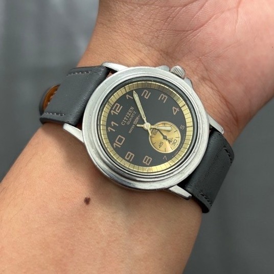 Citizen Promaster Subsecond
