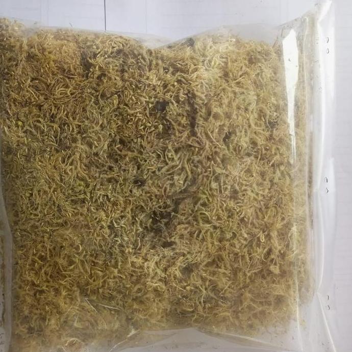 sphagnum moss premium