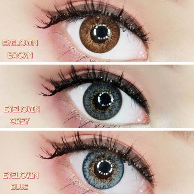 Eyecare- Softlens Eyelovin Normal By Urban Factory / Eyelovin