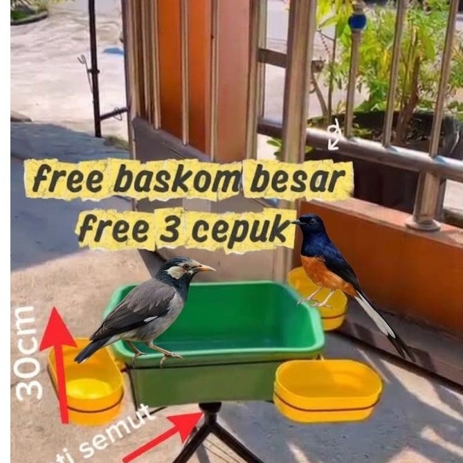 WADAH PAKAN TERNAK/AVIARY uk minimalis 30cm