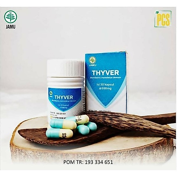 THYVER Obat tipes/kapsul cacing/cacing untuk tipes/obat pereda demam