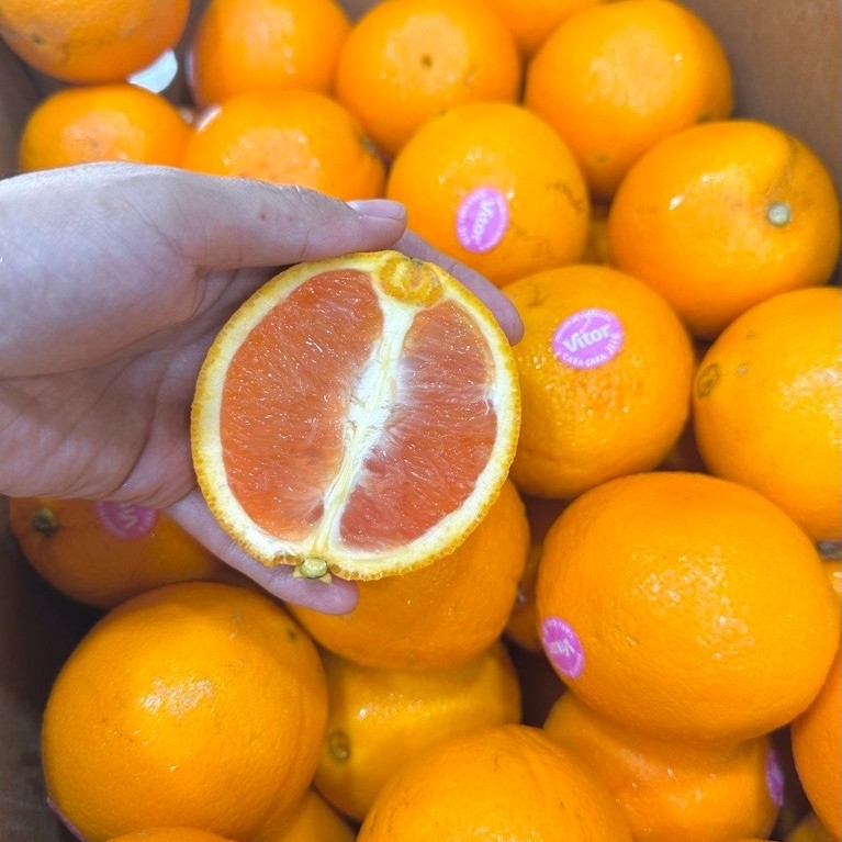 Jeruk Sunkist Cara Cara 1kg