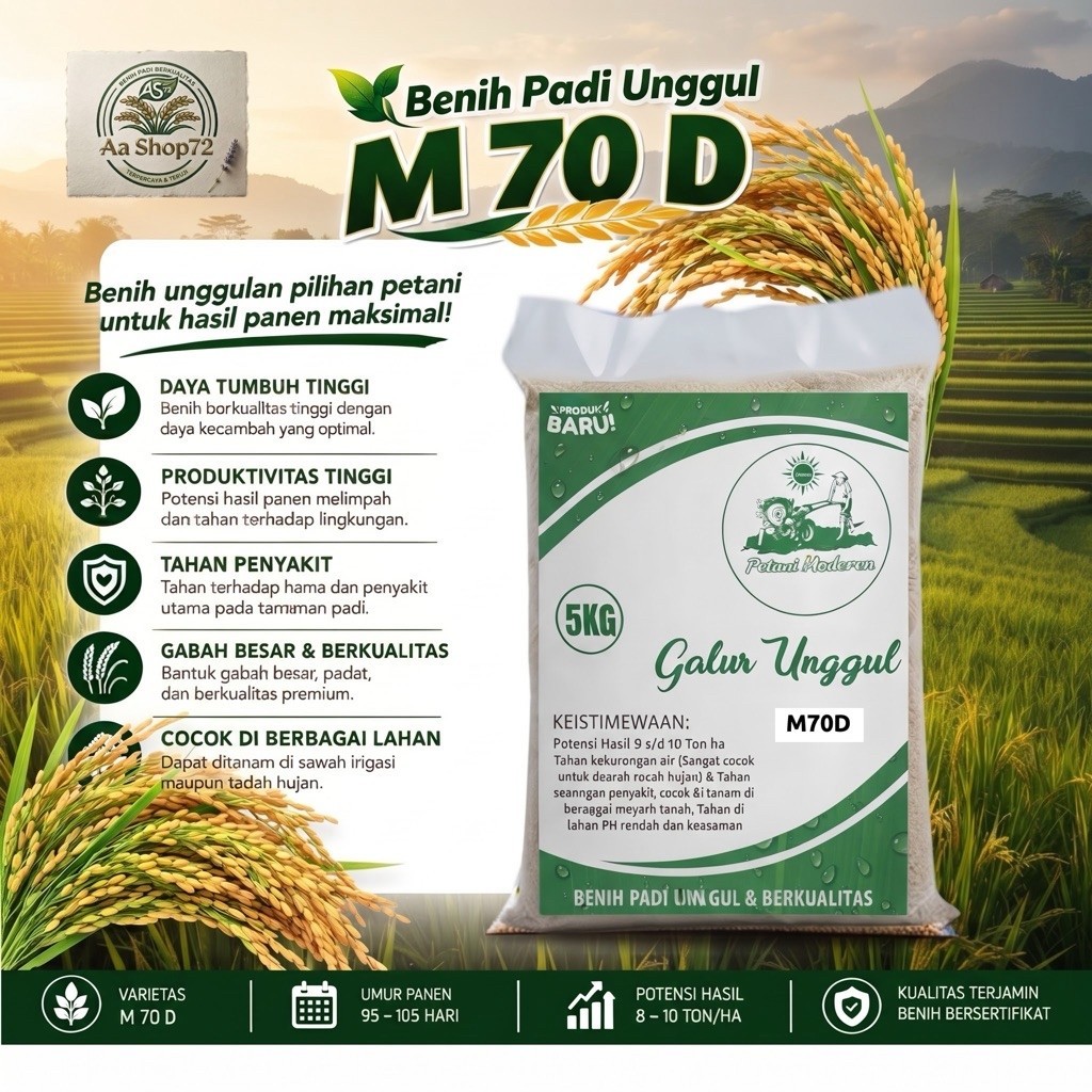 Benih Padi M70D Original 5Kg - Bibit Padi Unggul Super Genjah Panen 70 Hari  Bibit Padi M70D Bersert