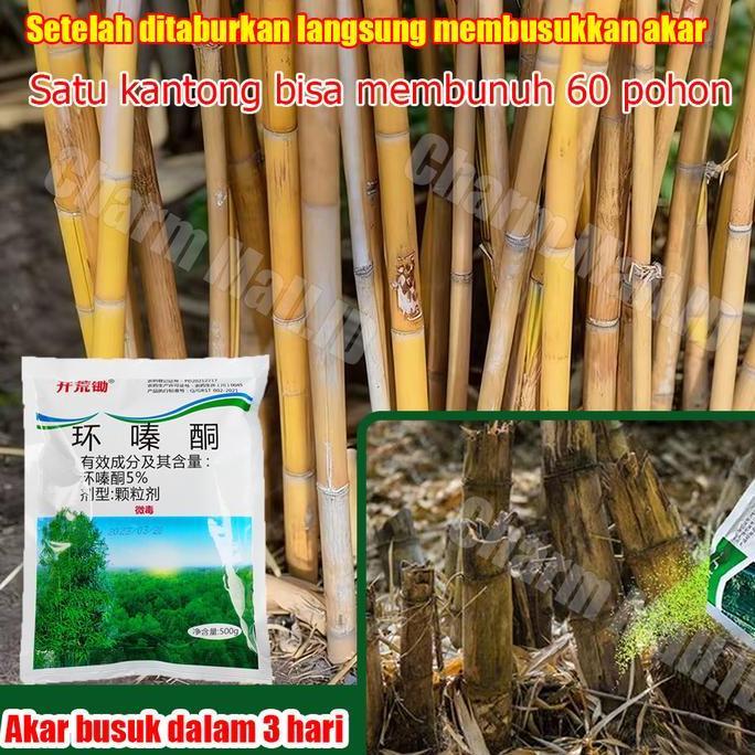 Racun rumput paling ampuh racun pohon besar ampuh herbisida pembasmi rumput liar Racun Bambu tree ki