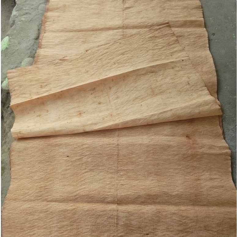 kulit kayu lantung / nyamu / terap