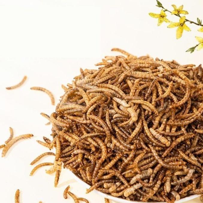 VITAPET Super Dried DEHYDRATED Mealworm Ulat Hongkong Kering 1KG