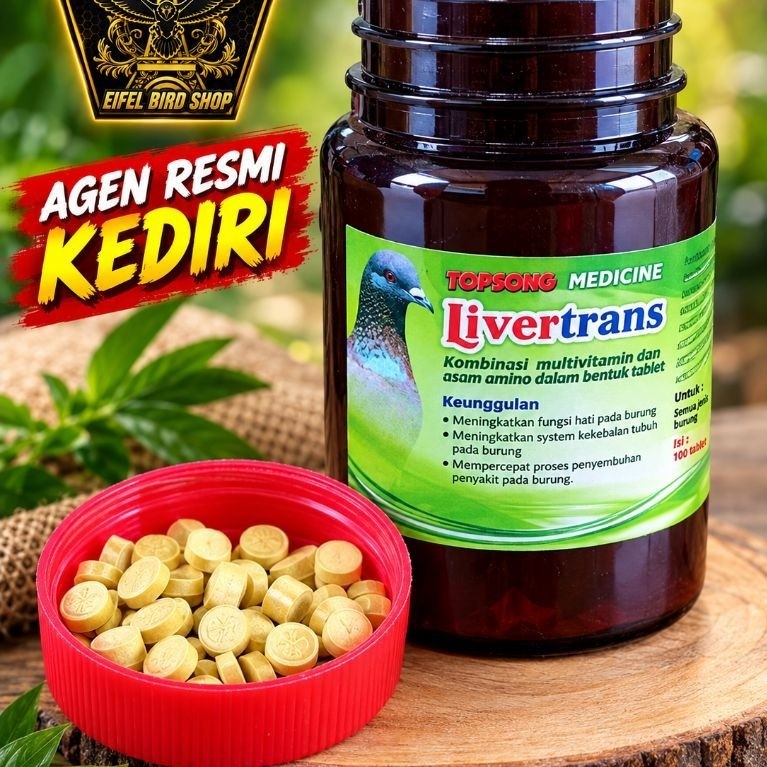LIVERTRANS TOPSONG 1 BUTIR
