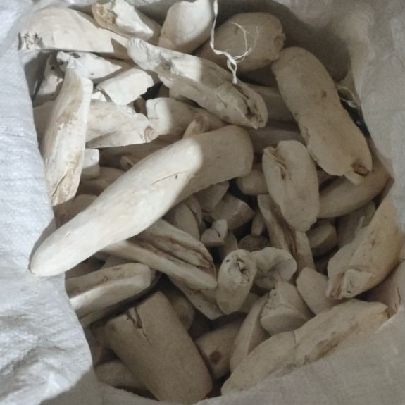 gaplek singkong Gatot Singkong 1 kg mentah kering Gaplek Kering bahan Gatot  bahan Tiwul gaplek keri