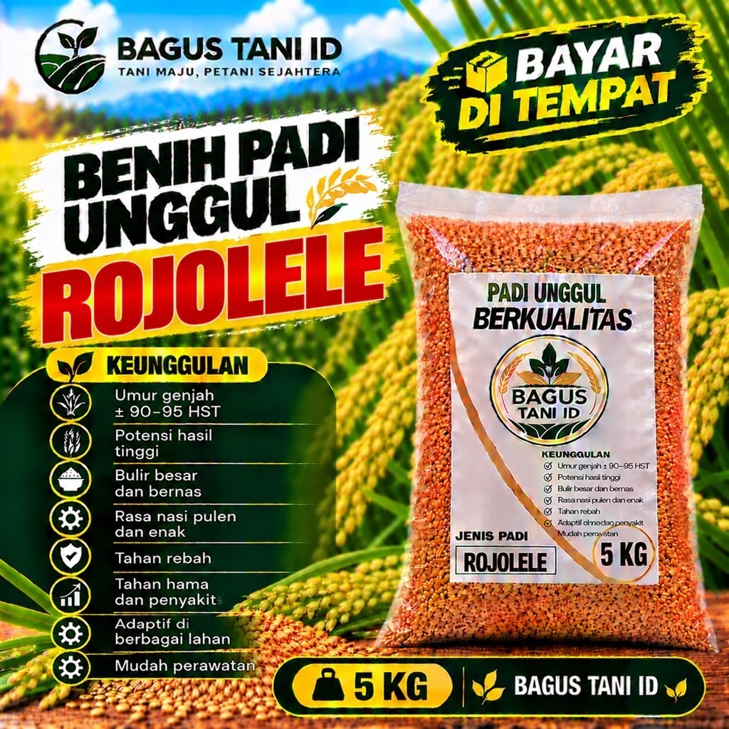 Benih padi unggul ROJOLELE premium kemasan 5kg