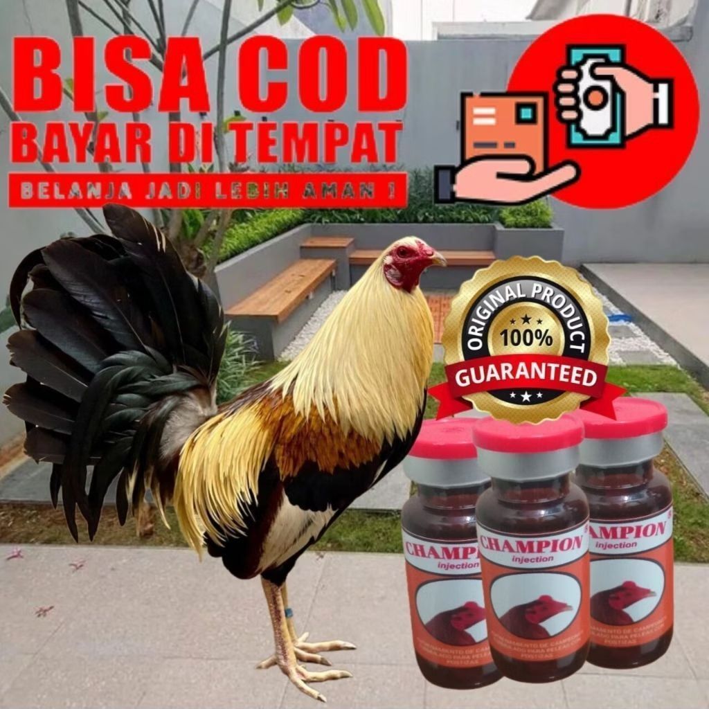 Doping Ayam Champion Injection doping Ayam Aduan, Bangkok, Taji Pisau