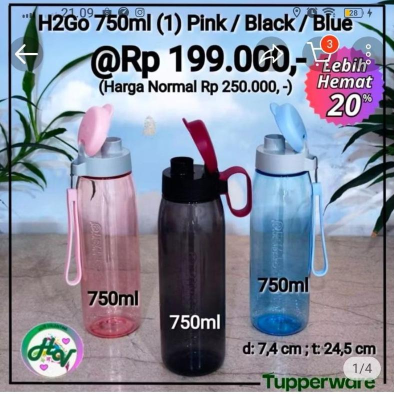NEW H2GO Tupperware/Botol minum