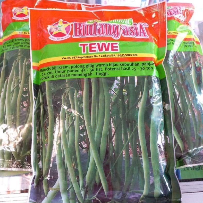 Benih Buncis Tewe 500 Gr Bintang Asia