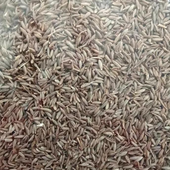 

langsung order saja] Jintan Halus 500 gr