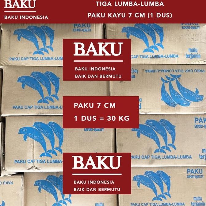 Paku Kayu 7Cm - 1 Dus (Paku Papan, Kaso, Balok, Paku Serbaguna) Kualitas Premium