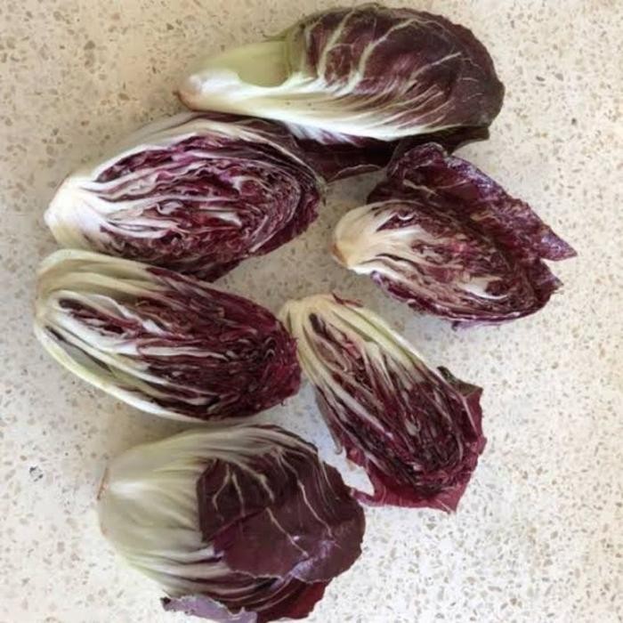 

Cod - 10 Biji - Benih Sawi Putih Merah - Radicchio Rossa - Bibit Sawi Merah