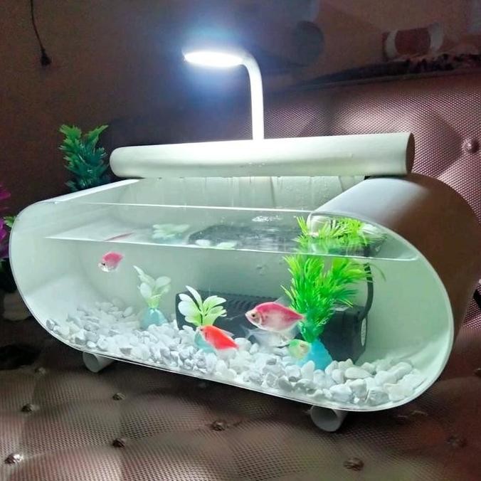 Akuarium Mini Air Terjun Background Putih