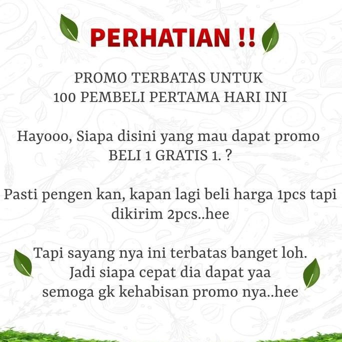 Teh diet pelangsing perut buncit penurun berat badan detox slimming tea herbal hijau alami daun jati
