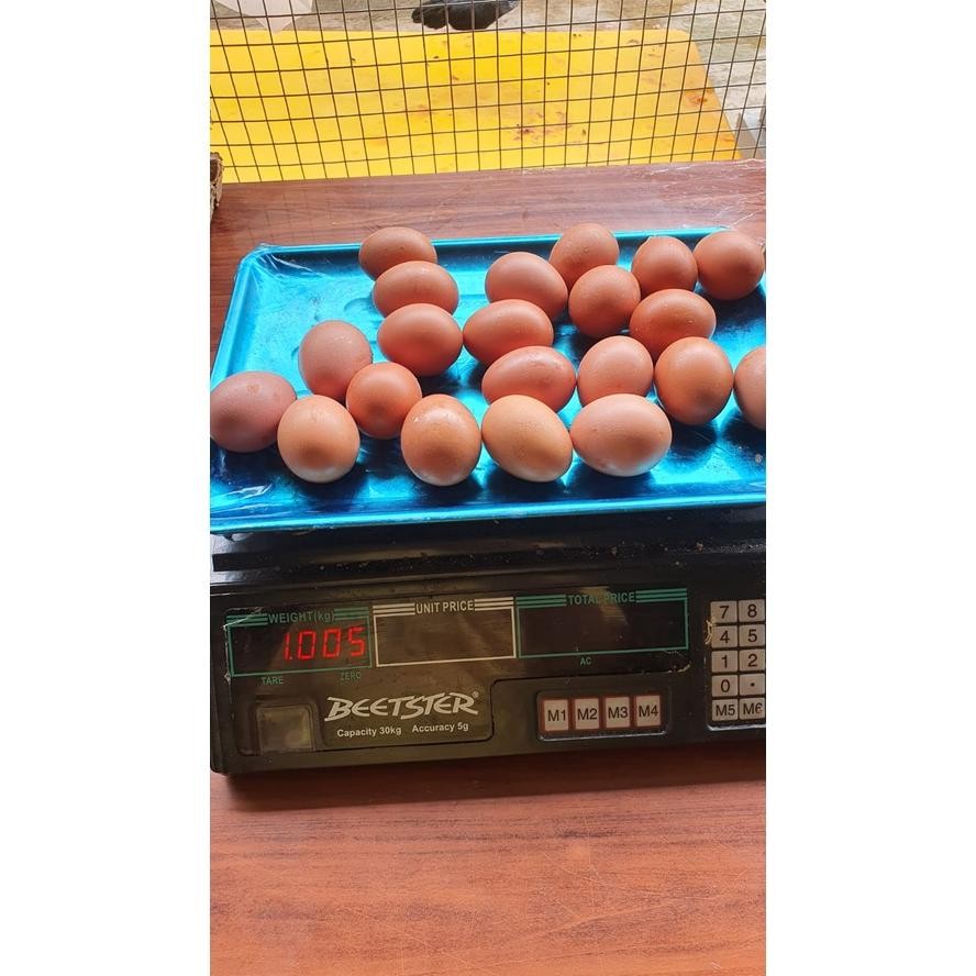 

Telor Omega Premium /Super Artinya Yg Premium Paling Bagus Ya Ka/Omega