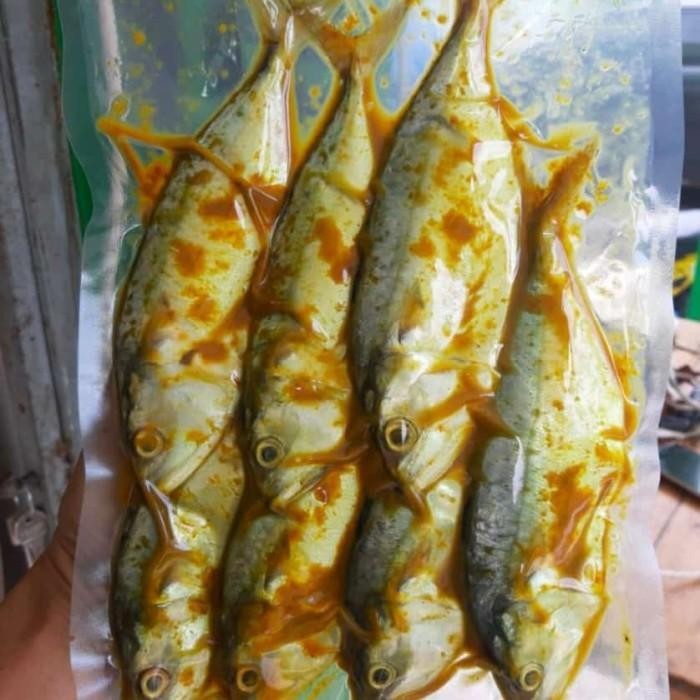 

LS Ikan Kembung Frozen bumbu kuning isi 6