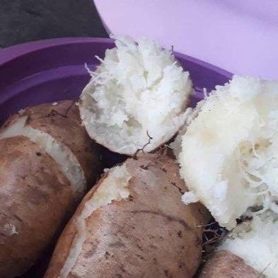 

HSS 1Kg Ubi gembili ketan makanan jaman dahulu fres segar Herbal