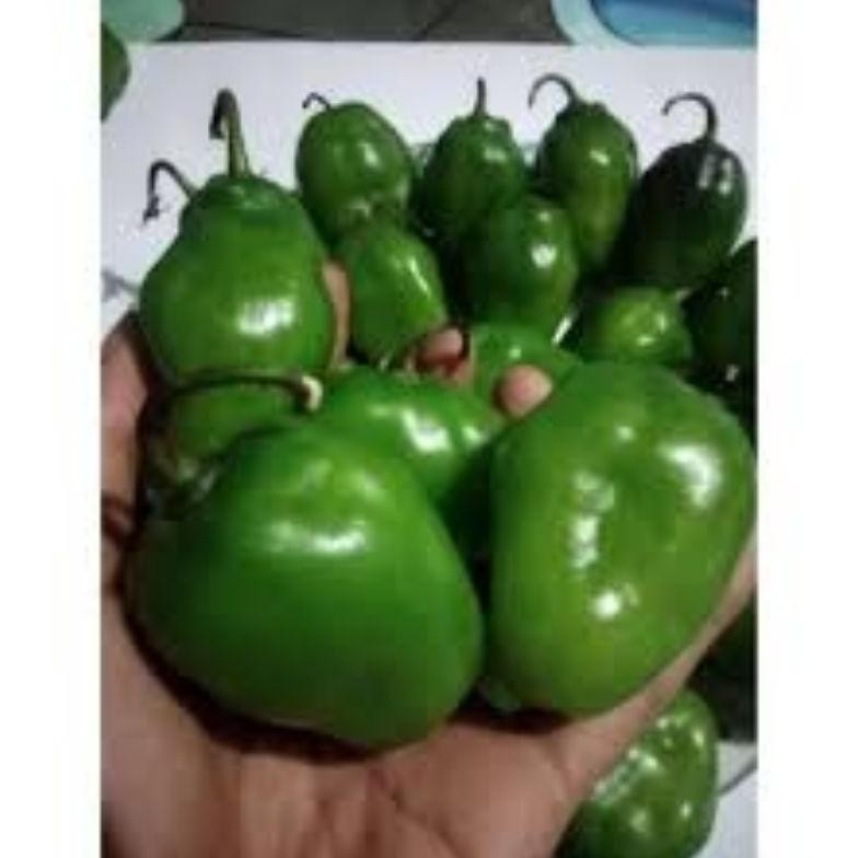 

Bermutu Cabe Gendot 1Kg (Fromo)