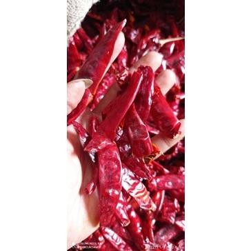 

Cod 1Kg Cabe Merah Besar Infor Tanpa Tangkai