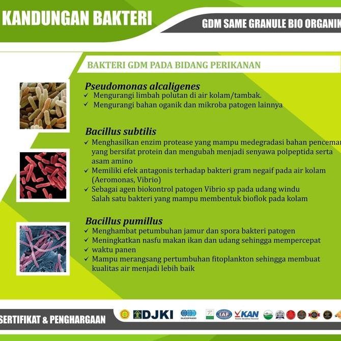 Granule Bio Organik GDM SAME Pupuk Padat Tanaman