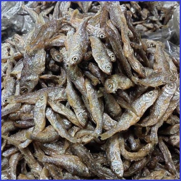 

IKAN BILIS DANAU SINGKARAK