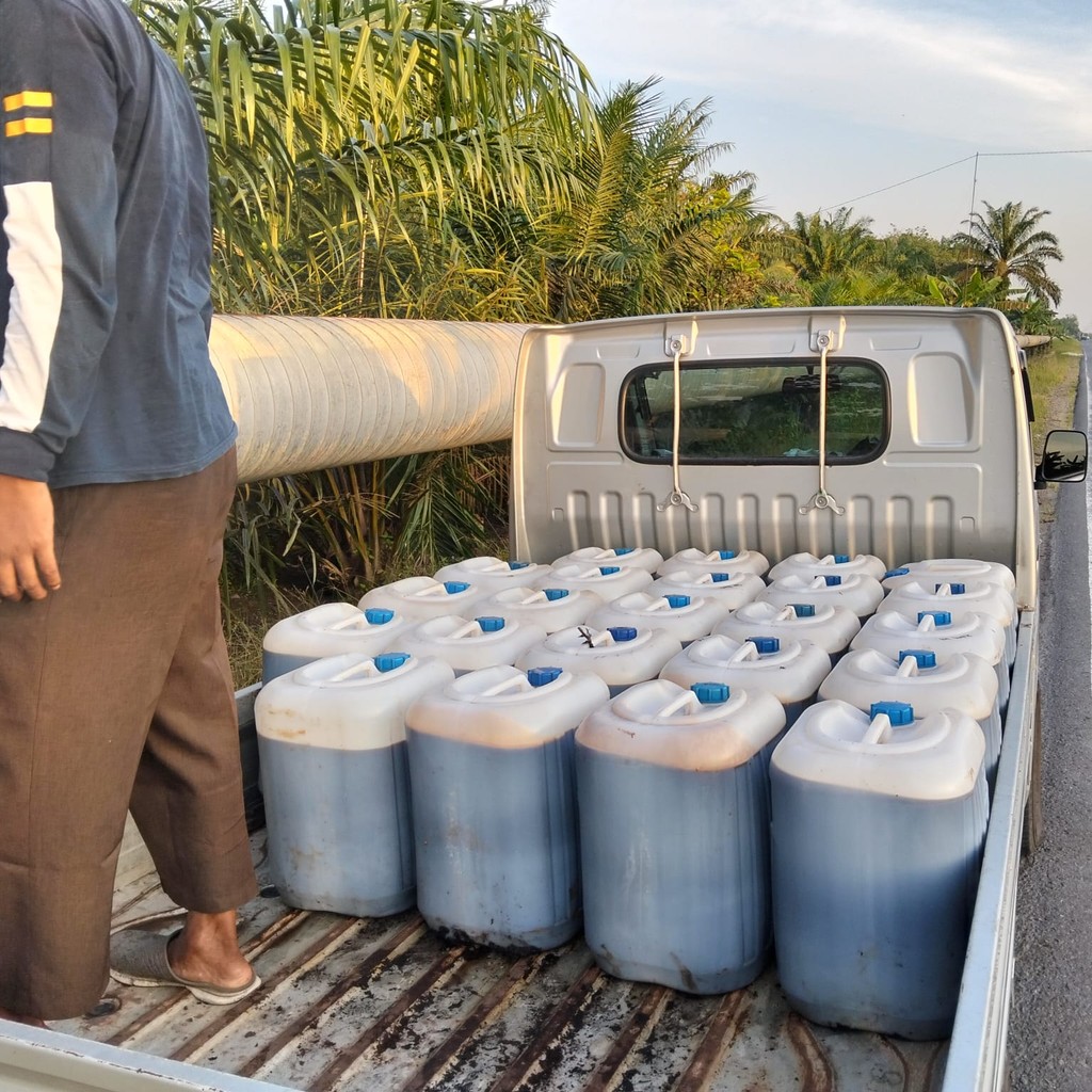 

Madu Hutan Akasia murni 100% dari nektar Akasia