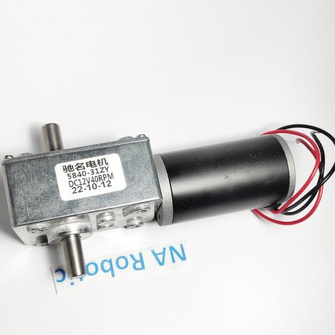 Motor DC 31ZY 12V 40RPM Dual Shaft