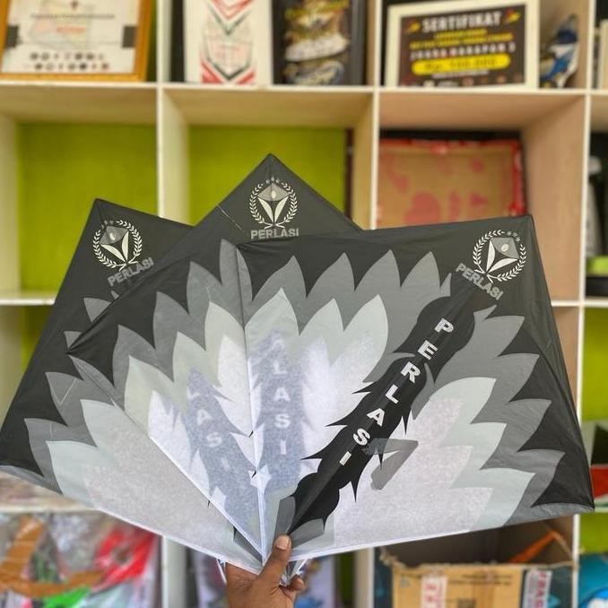 10pcs Layangan sukoi perlasi Full Bambu Petung