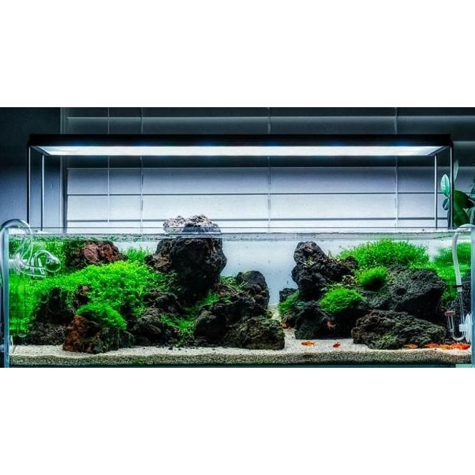 Batu Lava Rock Batu Hias Dekorasi Hardscape Aquascape Paludarium