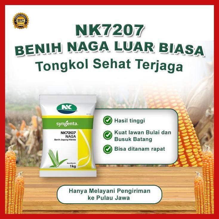 (Termurah) Benih Jagung Nk 7207 | Nk Naga - 1Kg Bestseller
