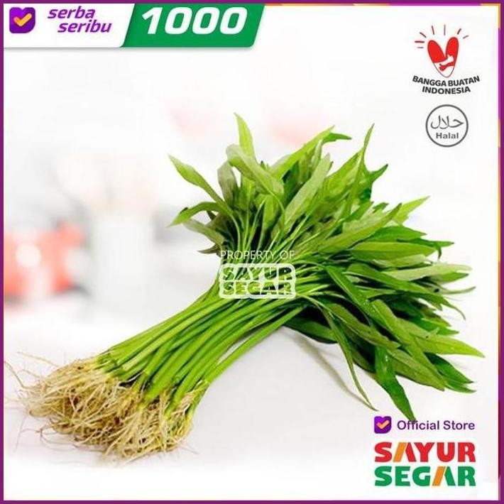 

STOCK READY KANGKUNG SAYUR [1 IKAT] FRESH TERBARU