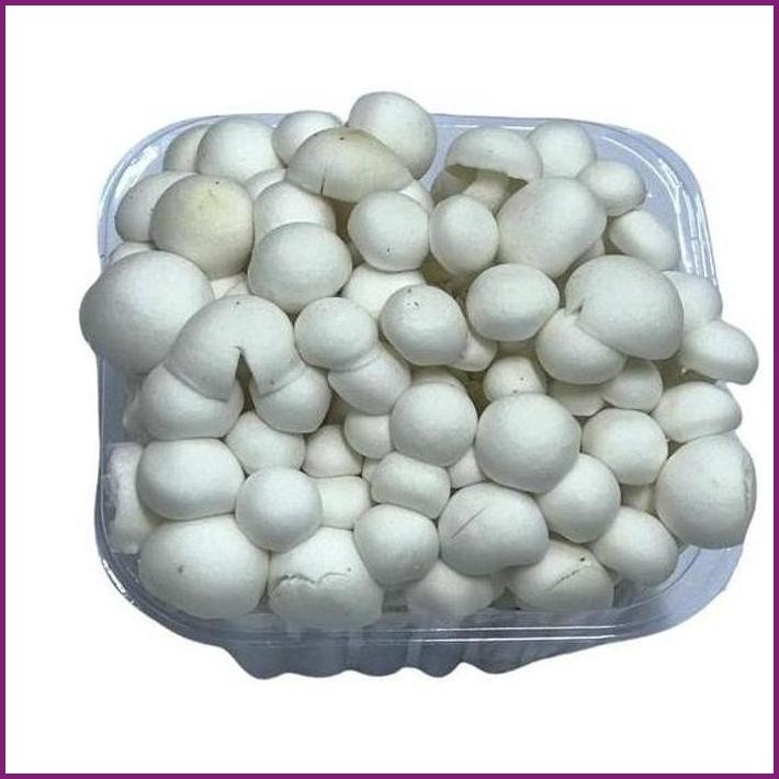 

STOCK READY MY FRUIT VEGE SURABAYA - JAMUR SHIMEJI PUTIH [BY PCS] TERBARU