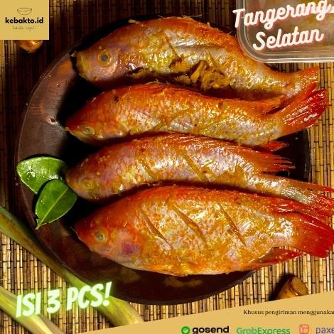

READY STOK (SIAP GORENG) Ikan Nila Merah Ungkep Bumbu Lengkuas isi 3pcs Siap kirim