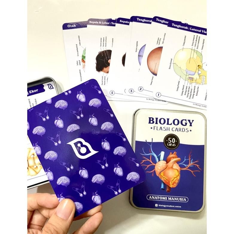 

Promo Biology Flashcards Premium Edition By Biology Student Notes Nt-77