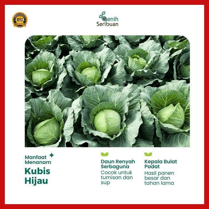 (Best Saller) 10 Benih Kol Kubis Hijau F1 Sehati Dataran Rendah Bibit Sayuran Seribu Bestseller
