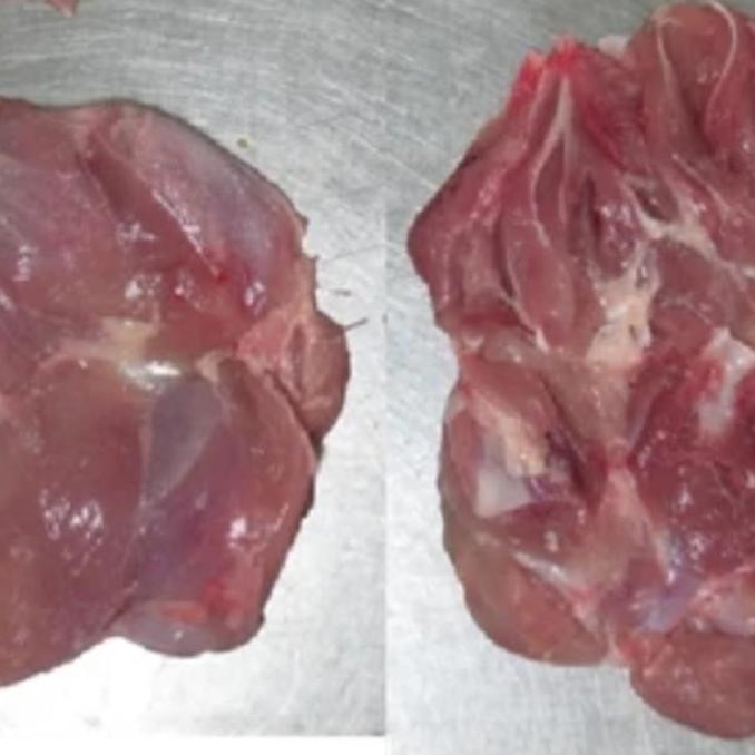 

Fillet paha / boneless paha ayam tanpa tulang