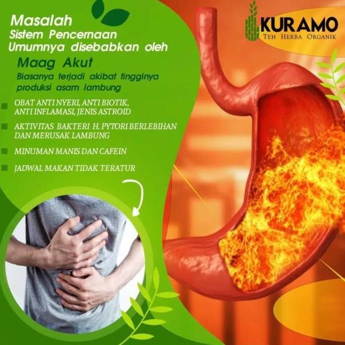 

Kuramo kunyit mas, Kuramo indonesia, kuramo surabaya