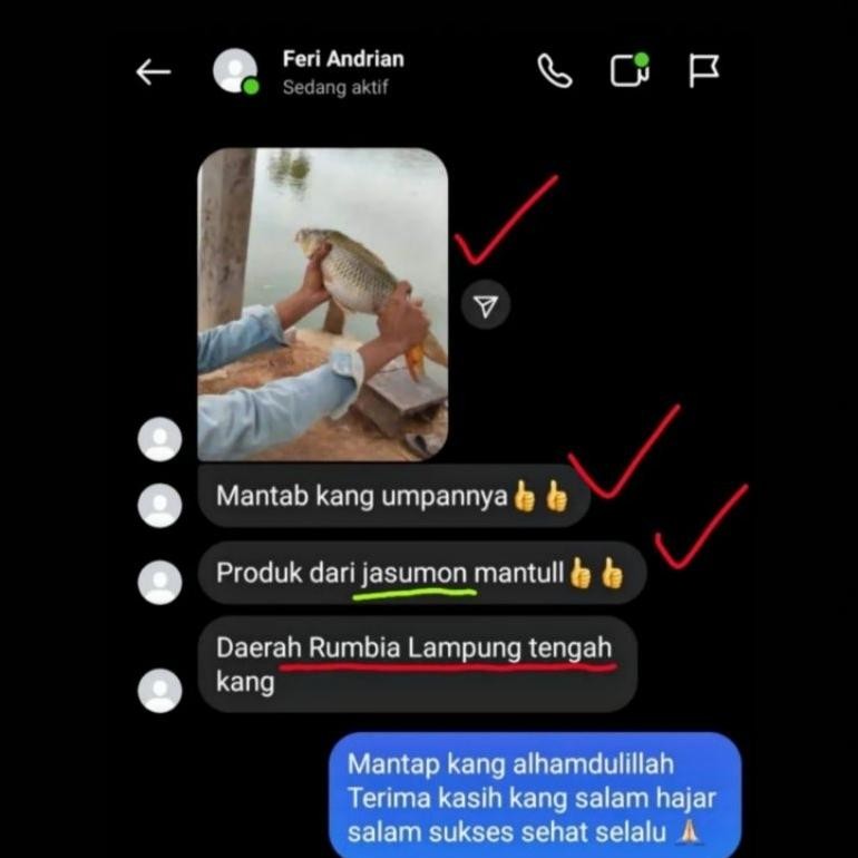 Umpan jadi jasumon stiker hitam spesial ikan mas