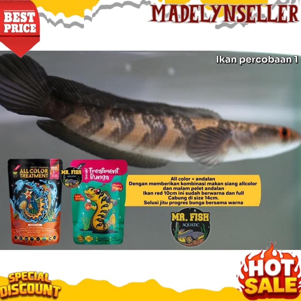 Langsung kirim PELET ANDALAN Mr. fish bukan BANG FISH  AQUATIC 60gram UNTUK PROGRES BUNGA CHANNA MAR