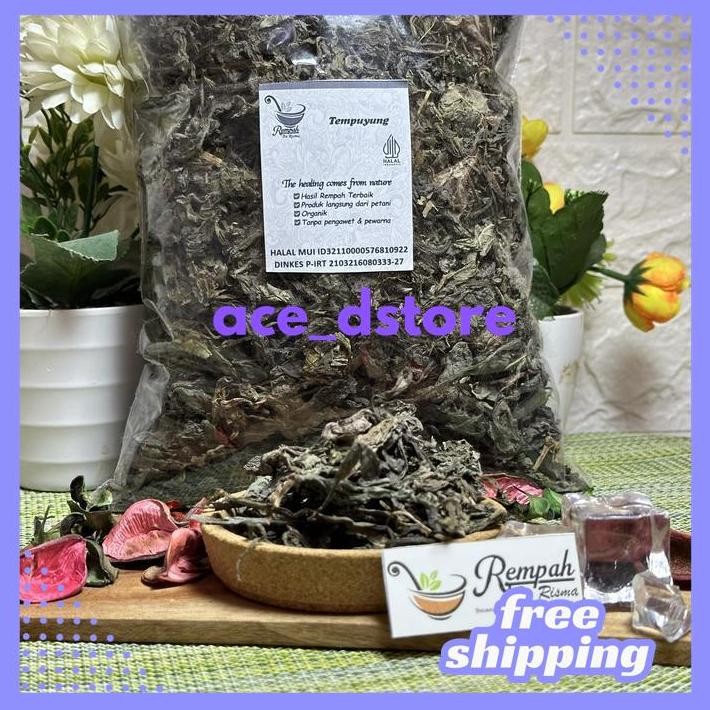 

DAUN TEMPUYUNG KERING 1 KG GRAM SUPER BY ACE D'STORE