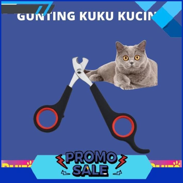 TERBAIK TODAY GUNTING KUKU KUCING / POTONG KUKU KUCING