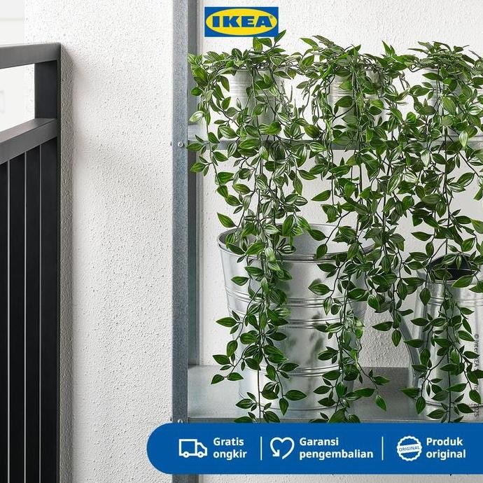 Ikea Fejka Tanaman Hias Gantung Dengan Pot 9 Cm