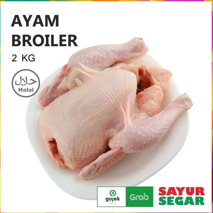 Ayam Broiler Utuh - Fresh [2 Kg]