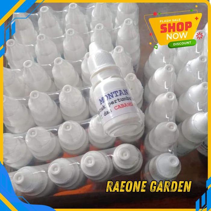 ANGGREK HIDUP FRESH MONTAN PENUMBUH CALON BUNGA DAN KEIKI BEST PRODUK