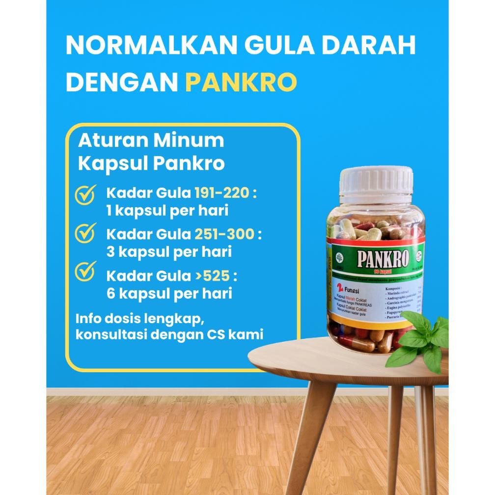 Kapsul Pankro Campur 90 Kapsul Obat Diabetes Ampuh Obat Herbal Diabetes Basah Kering