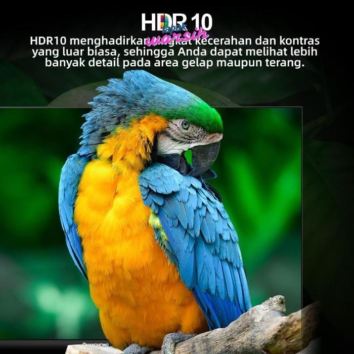 rg-4 gd-12 COD Changhong Google TV 32 inch FHD Dolby Audio Google Play Netflix Youtube Bluetooth USB